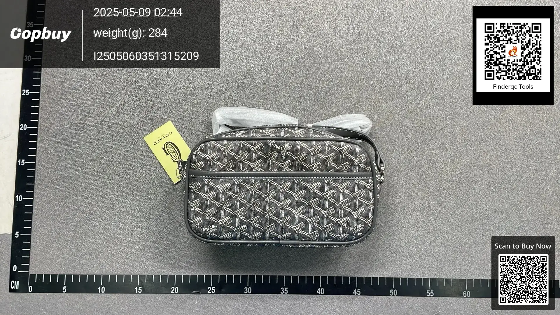 Goyard Crossbody Camera Bag