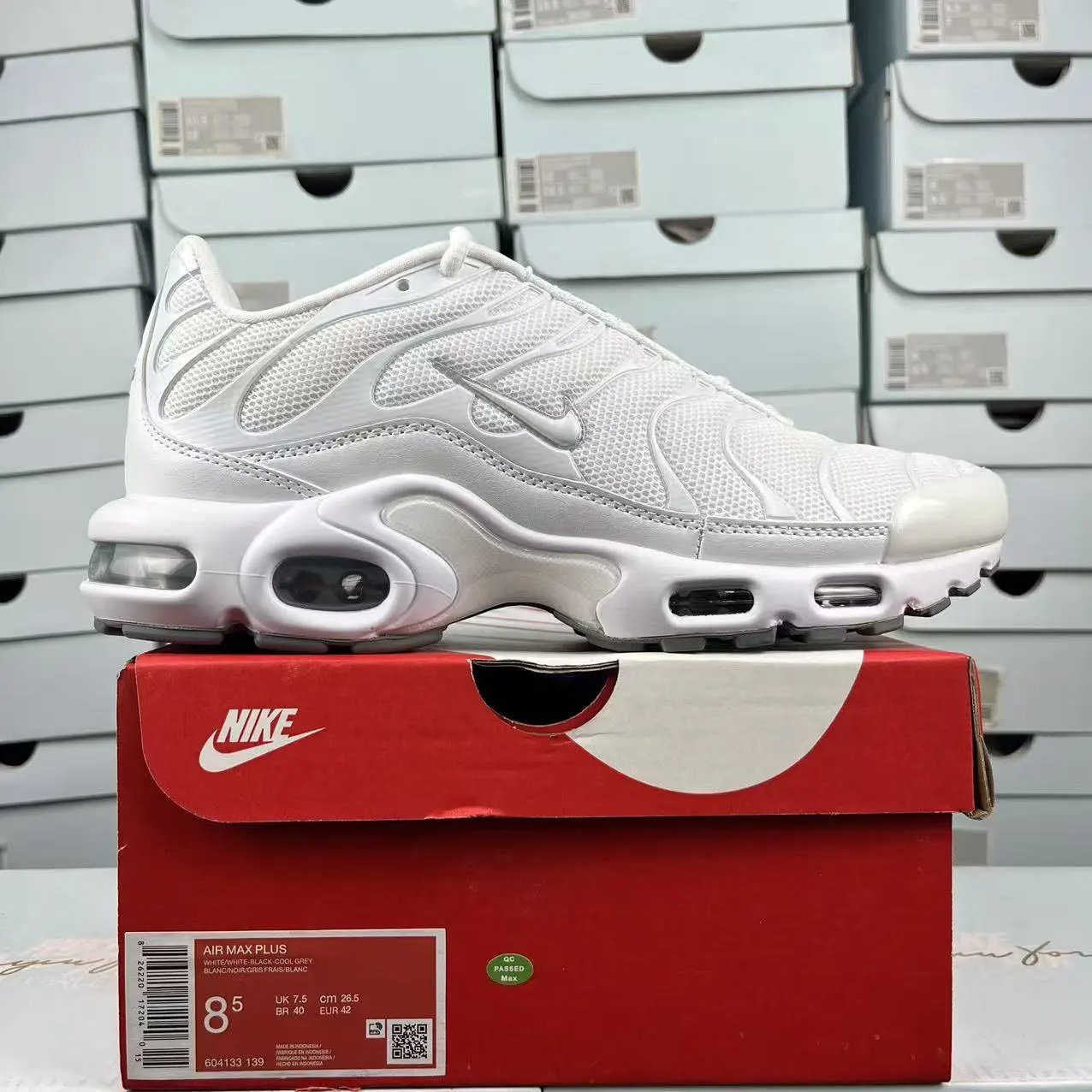 NIKE AIR MAX PLUS