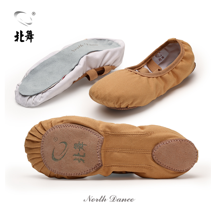 North Dance Non-Lace-Up Dance Shoes for Children and Girls, Soft-Soled Cat Paw Ethnic Style Adult Ballet Shoes