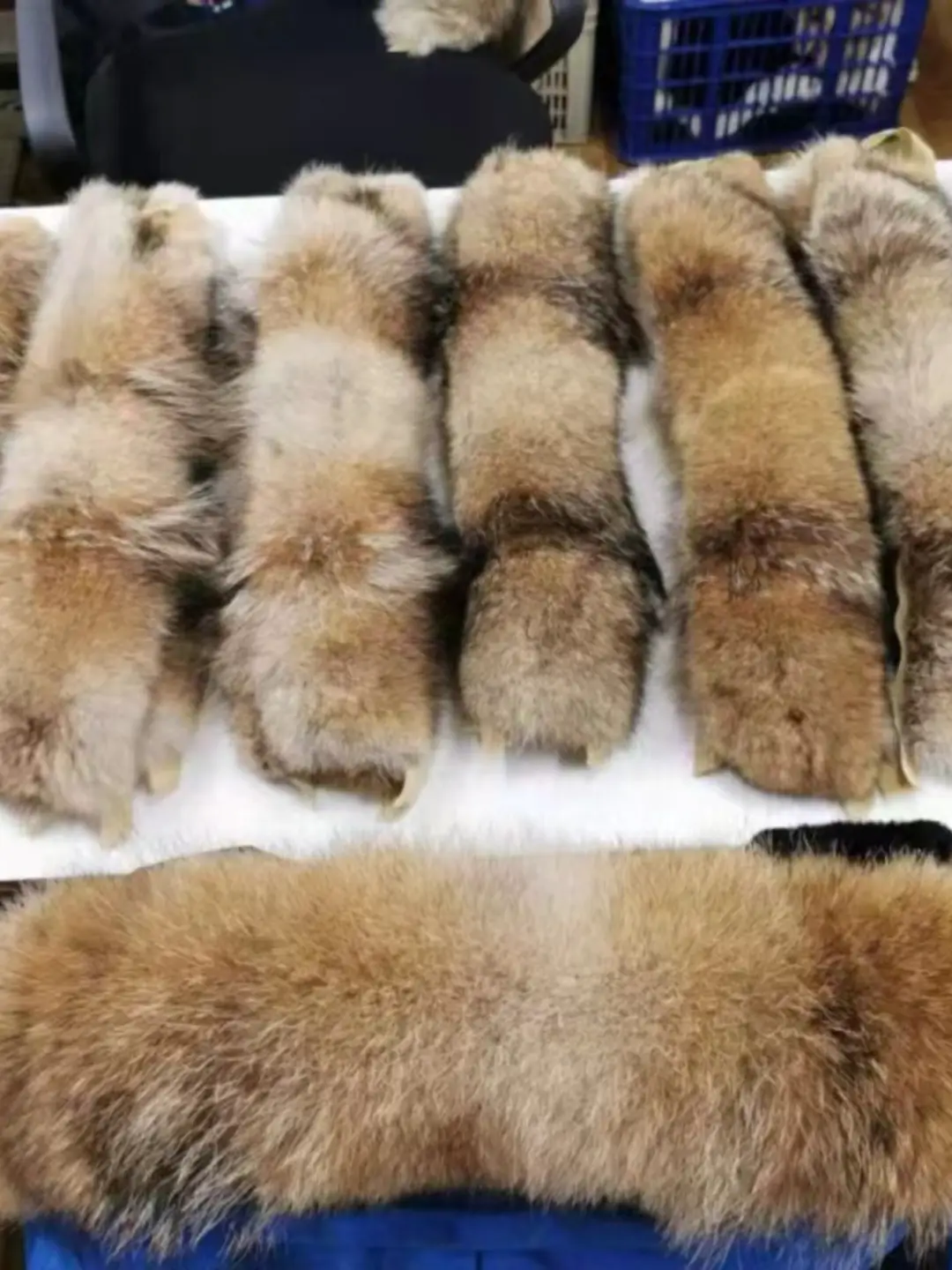 Custom-made Big Goose Wool Collar for Single Sale Canadian Coyote Wool Collar Replacement Pilot Expedition Wolf Wool Collar Custom-made Qing Qing