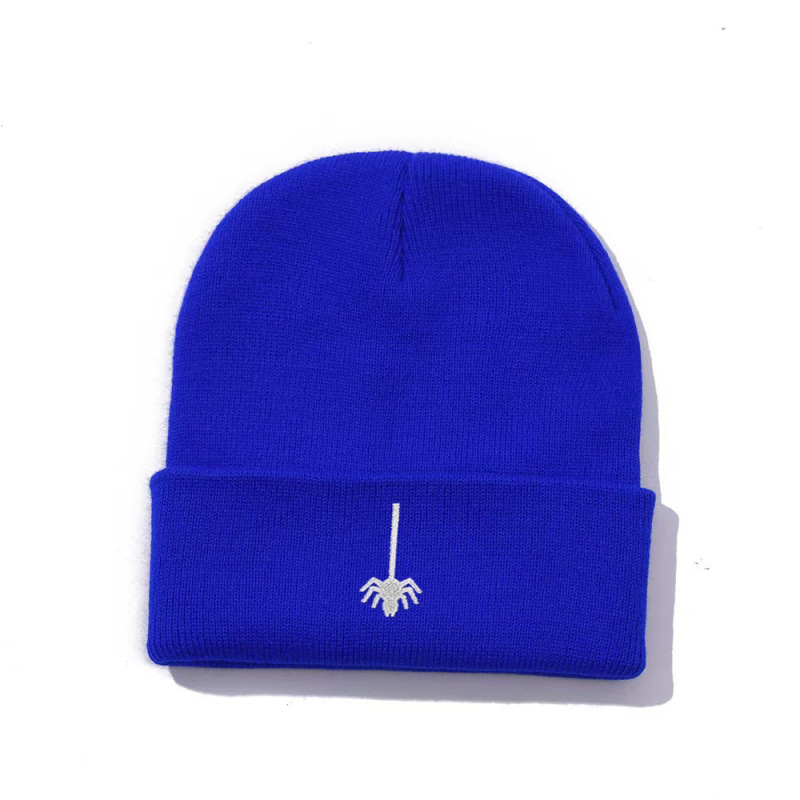 Cross-border New Amazon Embroidered Knitted Hat Autumn and Winter Outdoor Men's and Women's All-match Pullover Hat Warm Wool Hat