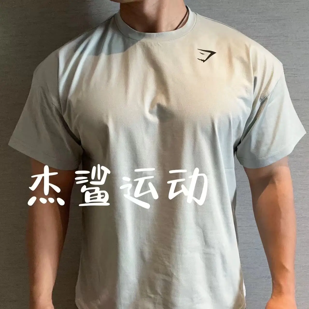 In Stock Gymshark Performance Men's Athleisure Quick-Drying Small Logo Loose Crew Neck Short Sleeve B9
