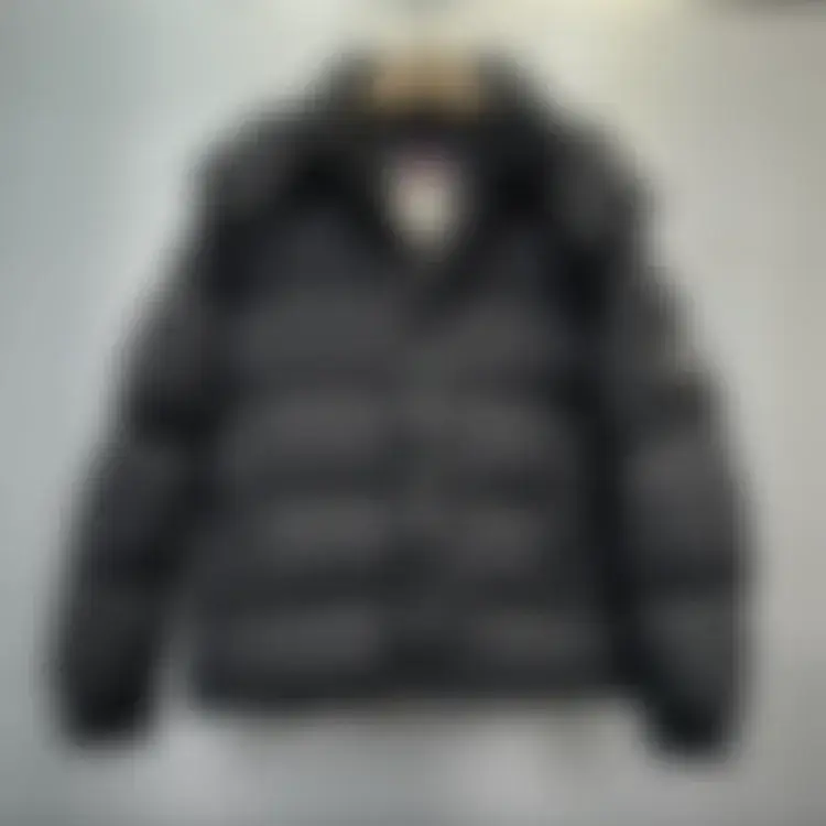 MC羽绒服雾面MY