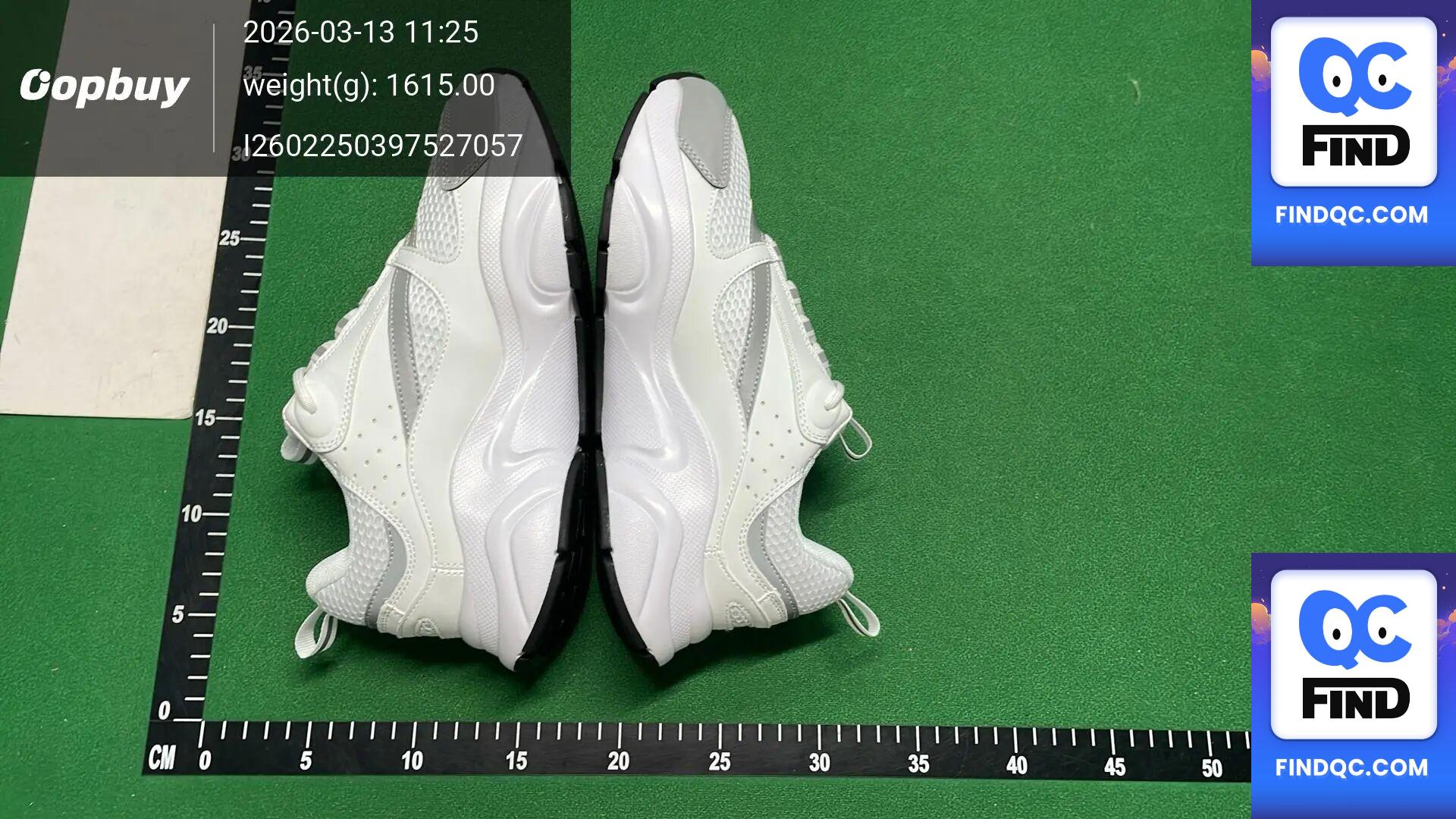 Dior B22 Sneakers QC
