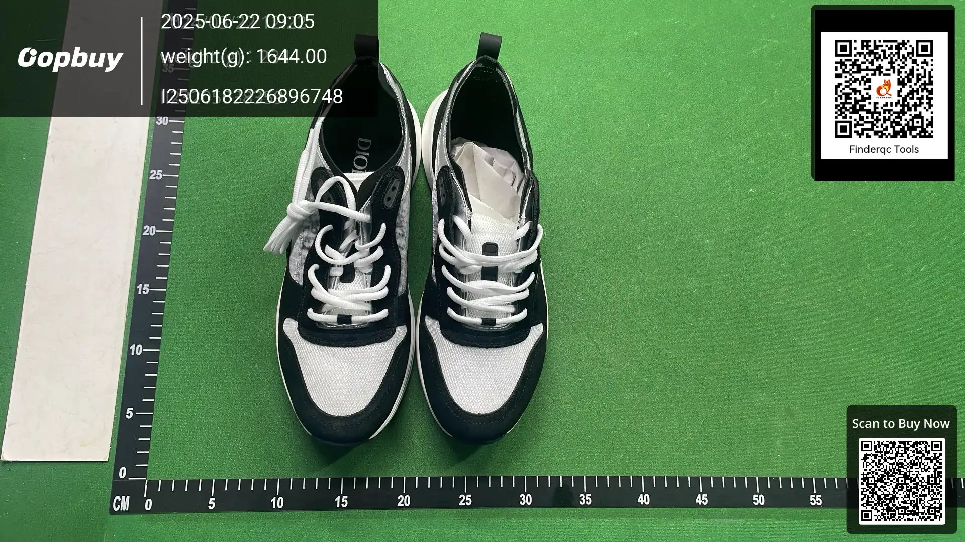 Dior B23 sneakers black white