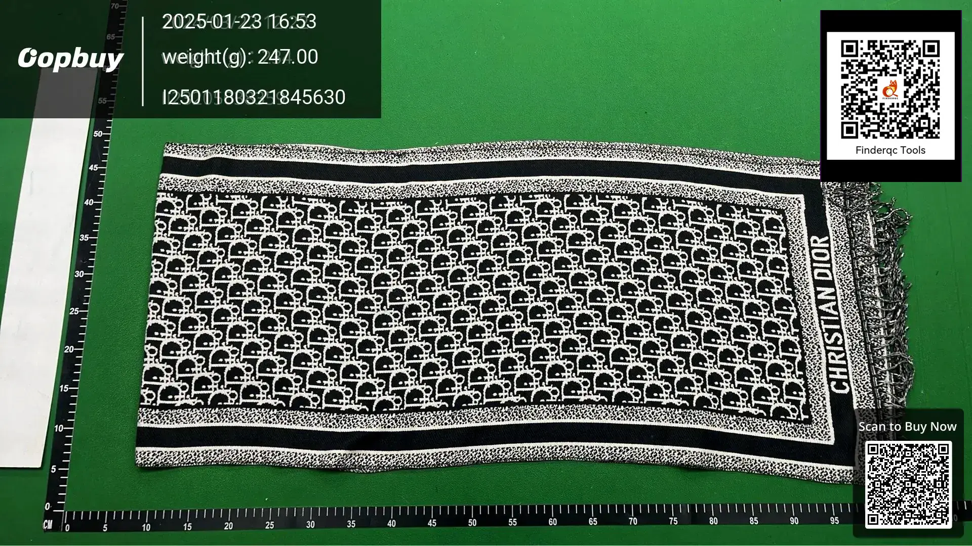 CHRISTIAN DIOR scarf