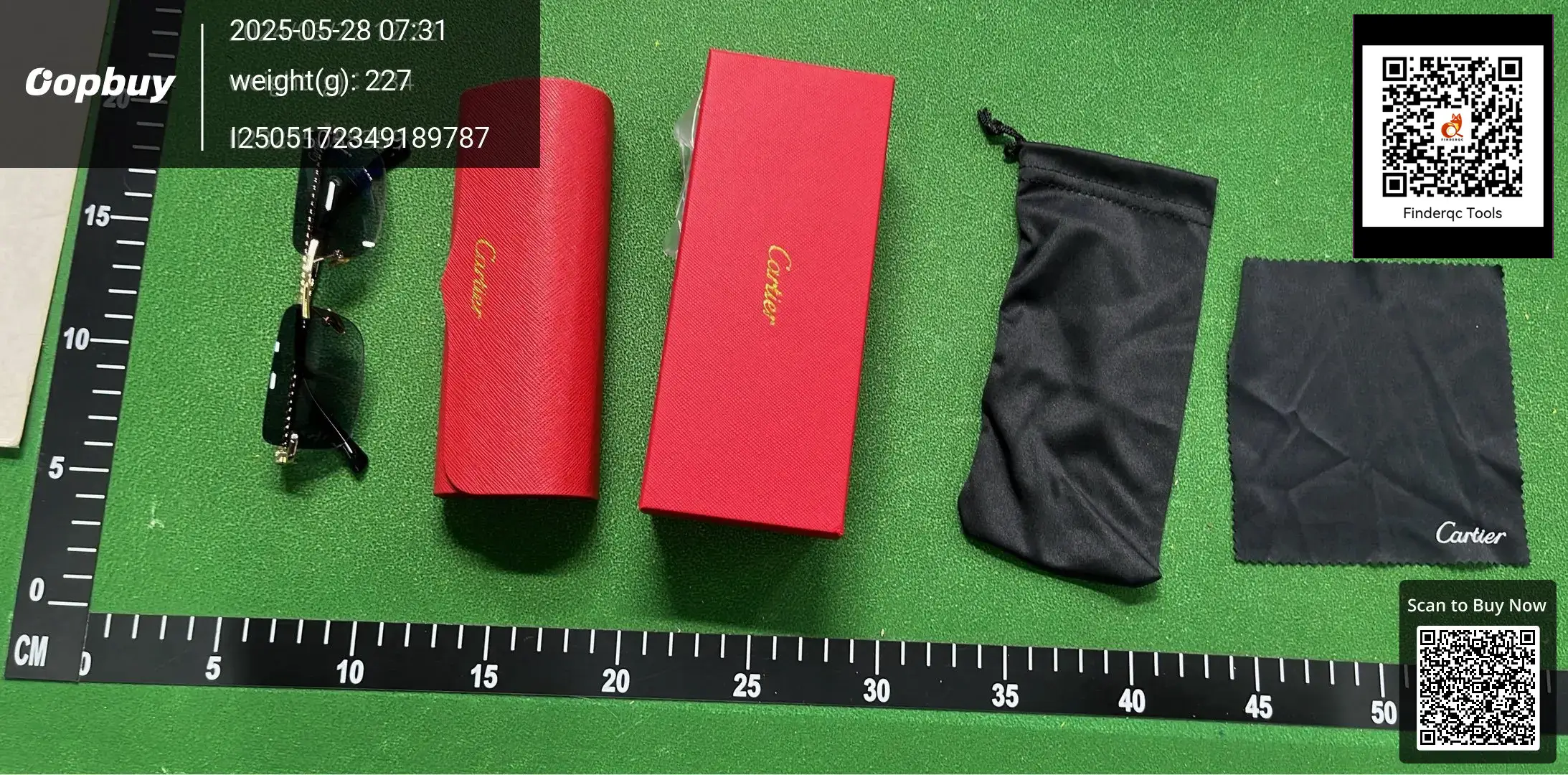 Cartier Sunglasses