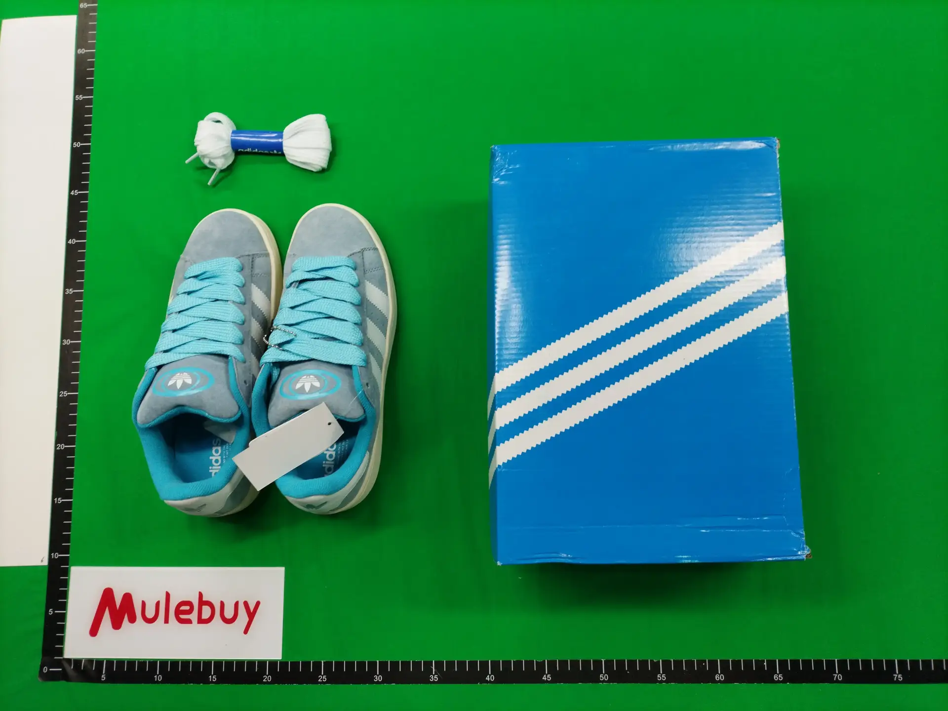 Adidas Campus Light Blue