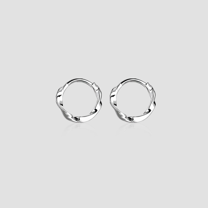 Hoop Earrings for Women, Korean Style, Versatile, Simple, Light and Luxurious Hoop Earrings, Autumn and Winter New Products, One-Piece Drop Shipping Trend