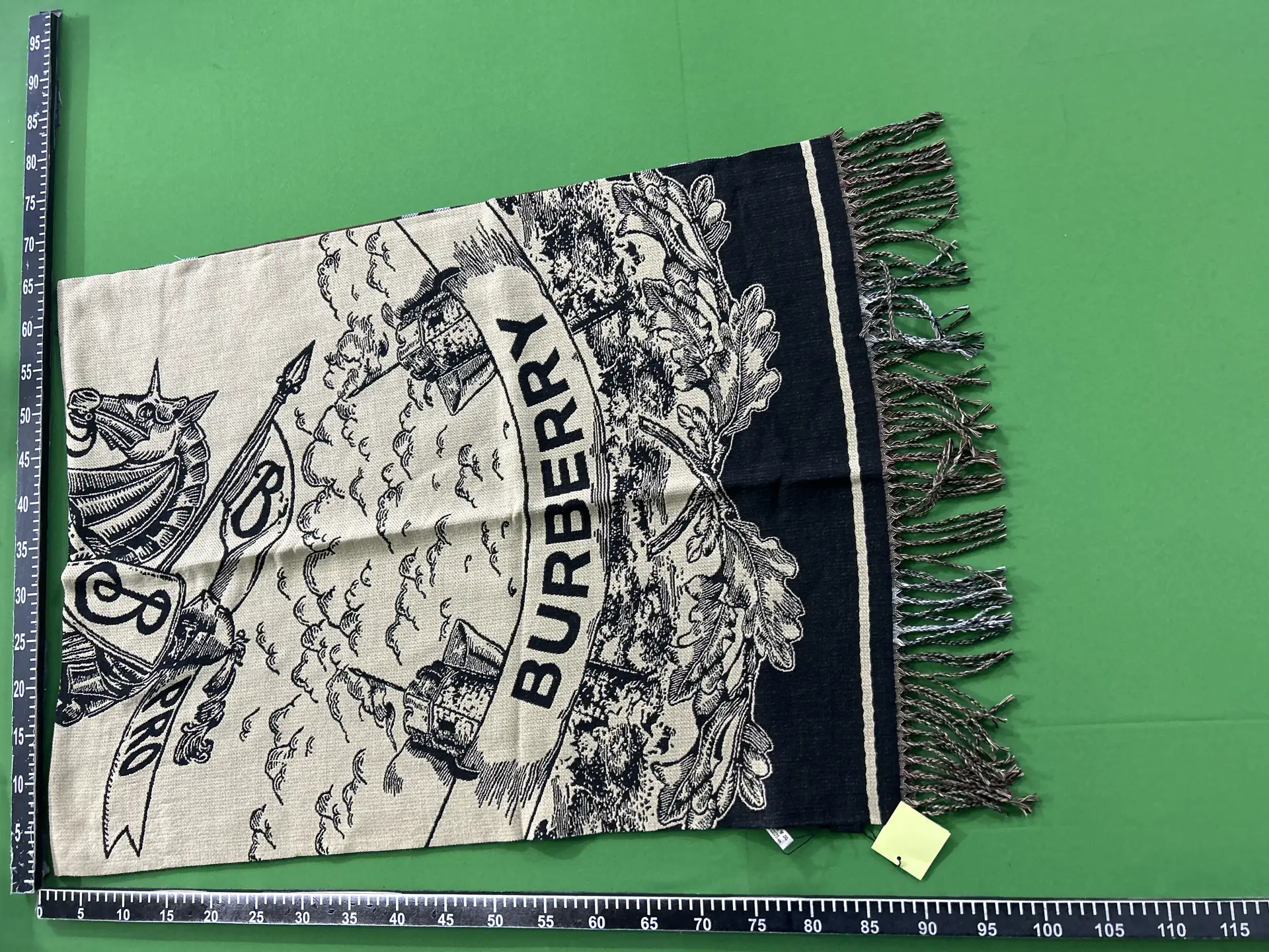 Burberry Scarf