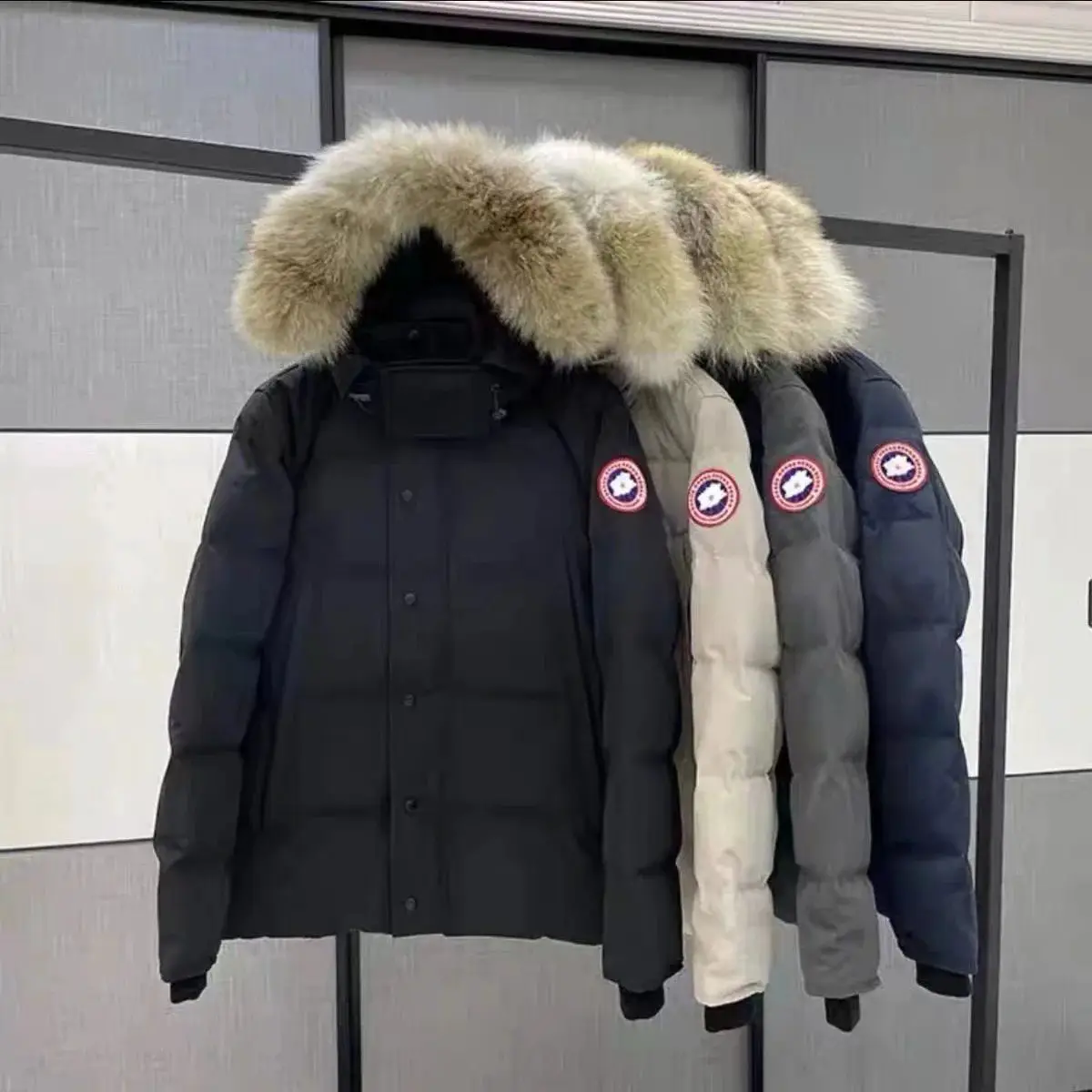 SQ19-时尚羽绒服(W2C-006)