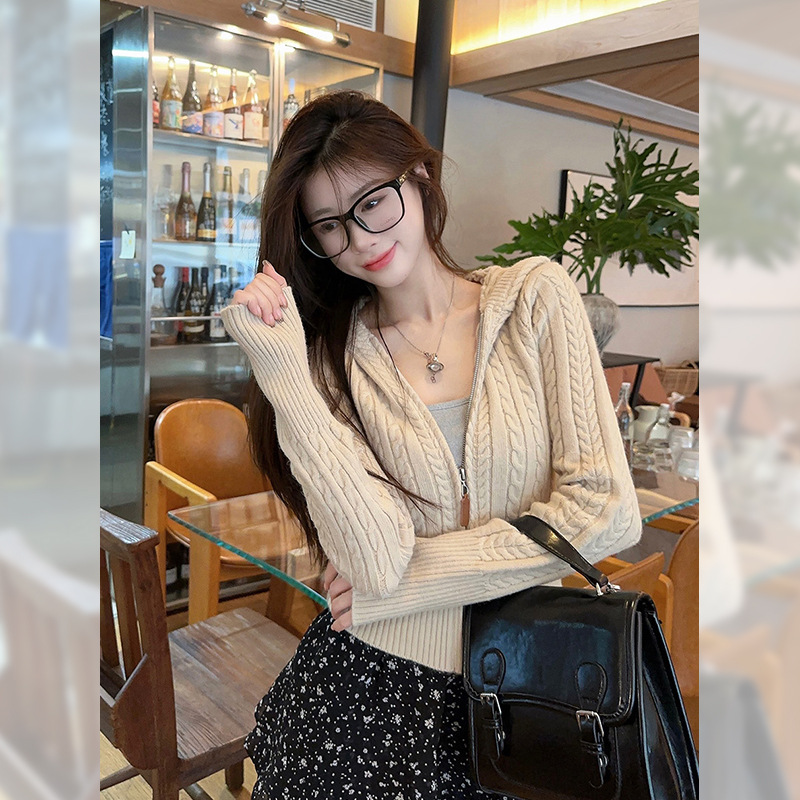 Korean Hooded Twist Sweater Jacket for Women in Autumn and Winter New Style Gentle Slimming Look Short Knitted Cardigan Top