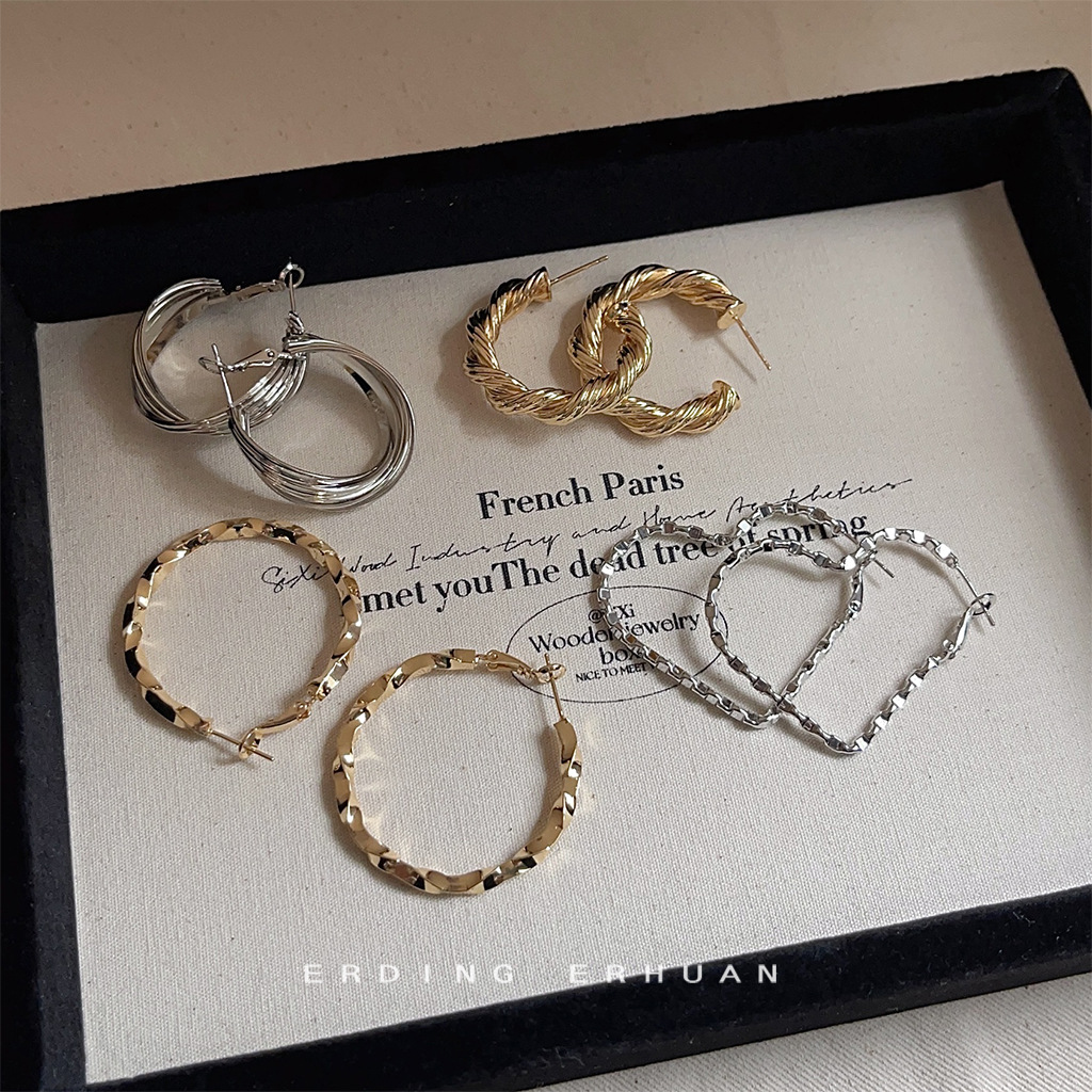 Earring Collection: High-End Fashion Geometric Hoop Earrings with an Exaggerated Style, Silver-Plated Needle Earrings for Women