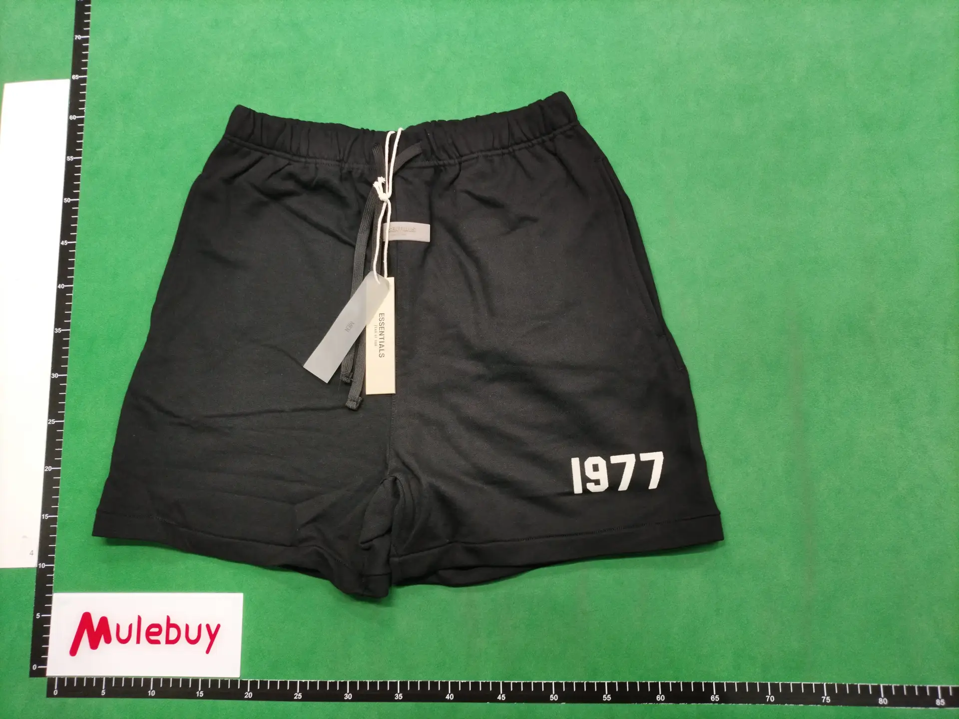 R19079-H55