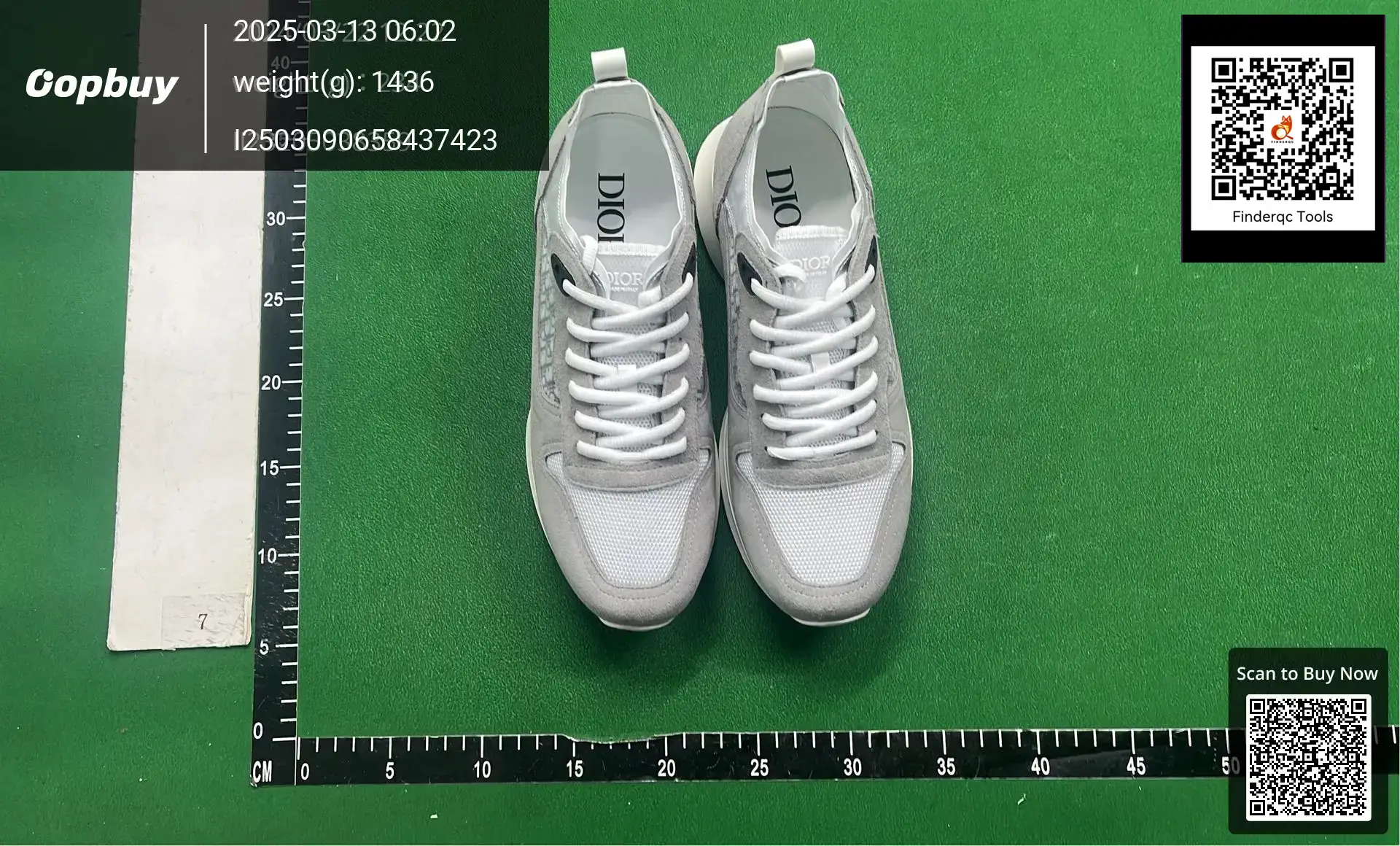 Dior B23 Sneakers Gray