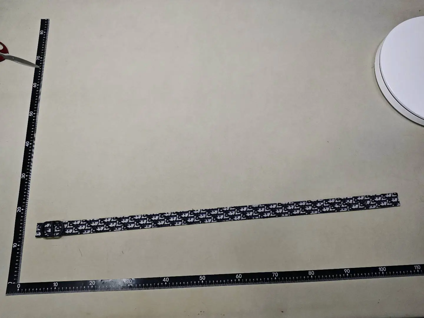 Dior Oblique Belt
