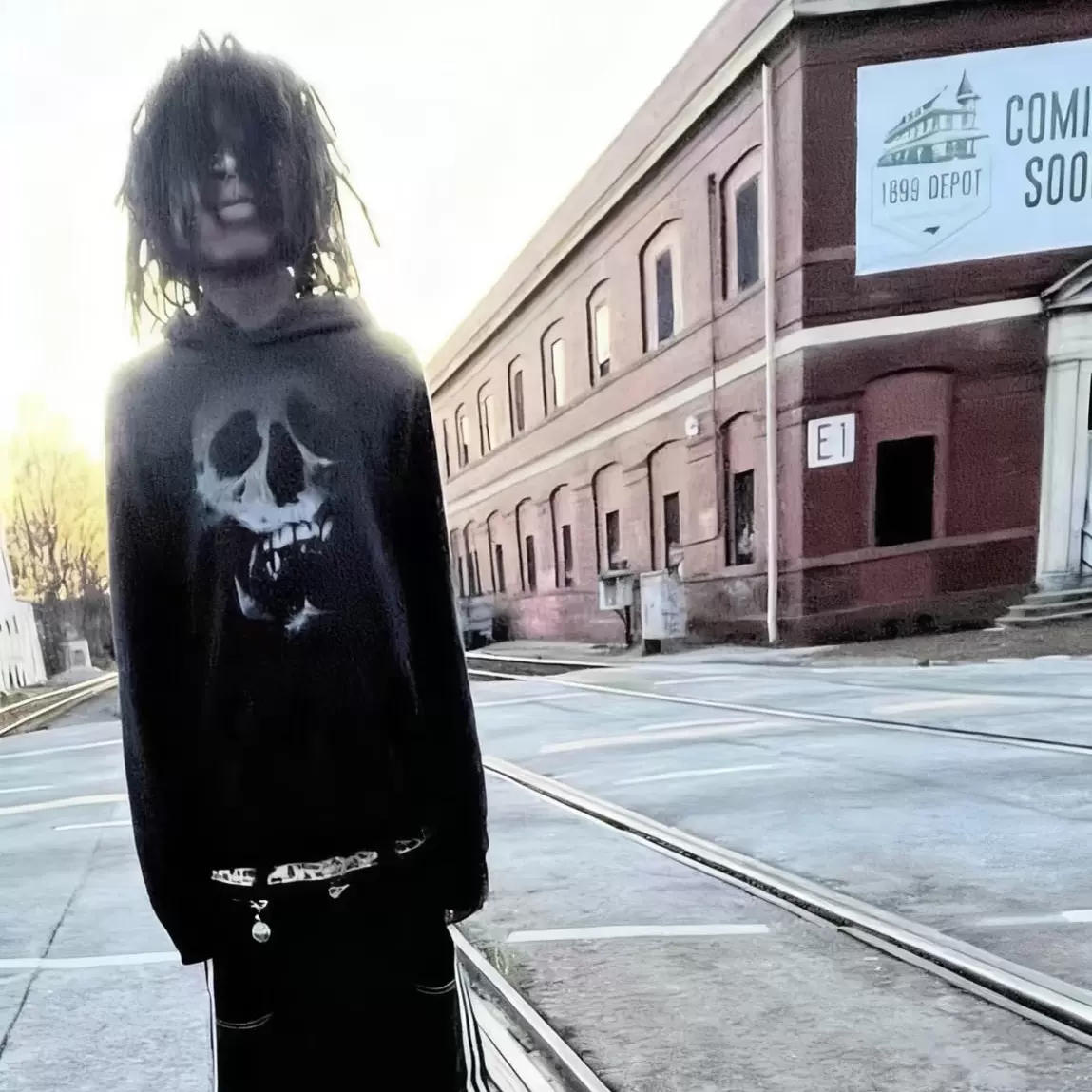 Hysteric Glamour Skeleton Strawberry Hoodie in the style of Hesperide