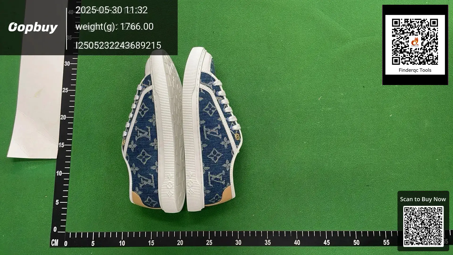 Louis Vuitton Denim Monogram Sneakers