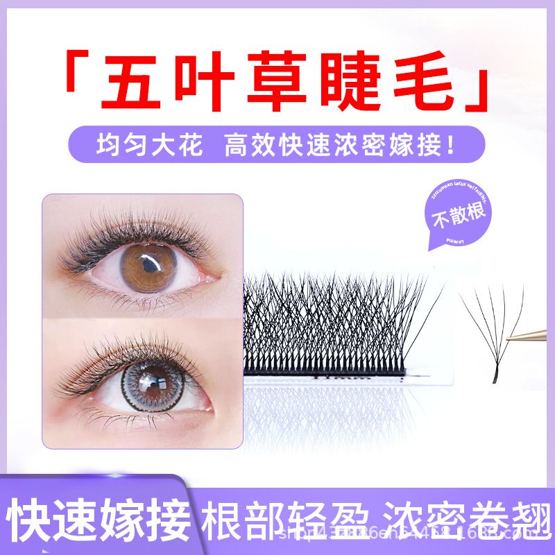 Not scattered with five-leaf clover eyelash beauty eyelash shop teacher specializes in 5d flowering grafting eyelash natural thick CD warped super soft