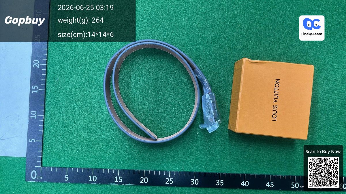 Louis Vuitton Belt QC