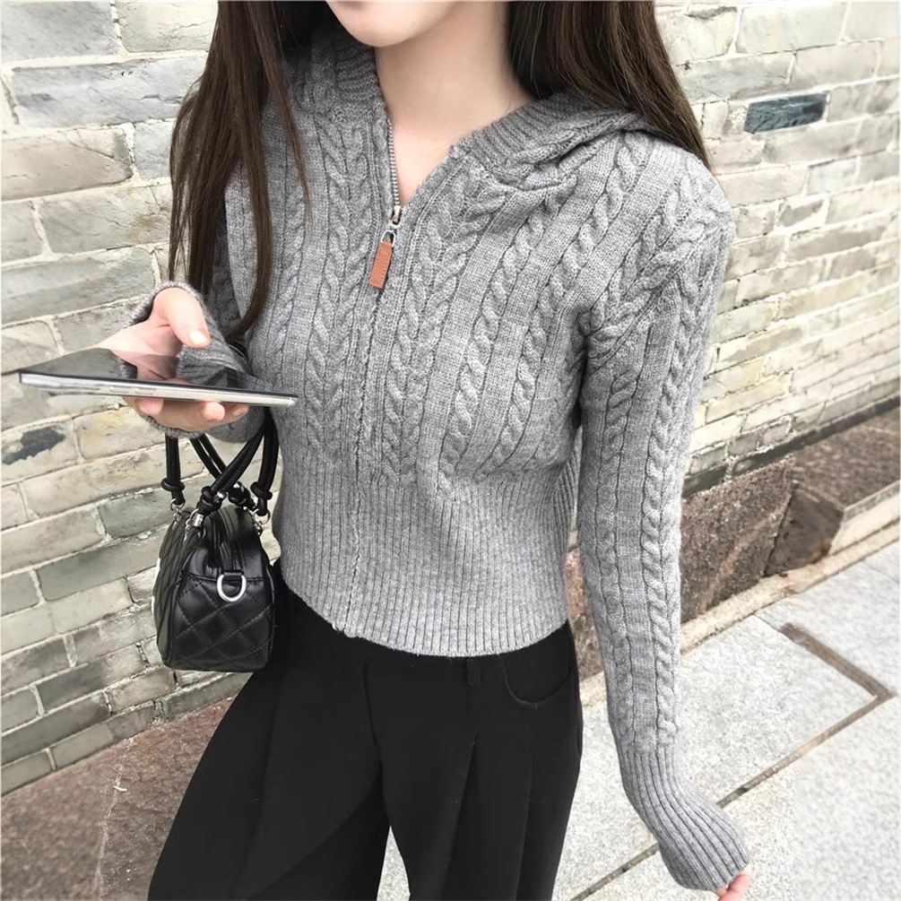 Cross-Border Short Twist Hooded Zipper Knitted Cardigan for Women 2025 Autum New Slimming Look Design Sweater