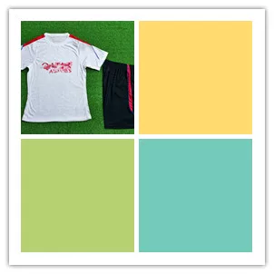 26-27 P.Ari Training Player Short Sleeve Kit 7268051643 Foto QC de TAOBAO na Qualit.ly