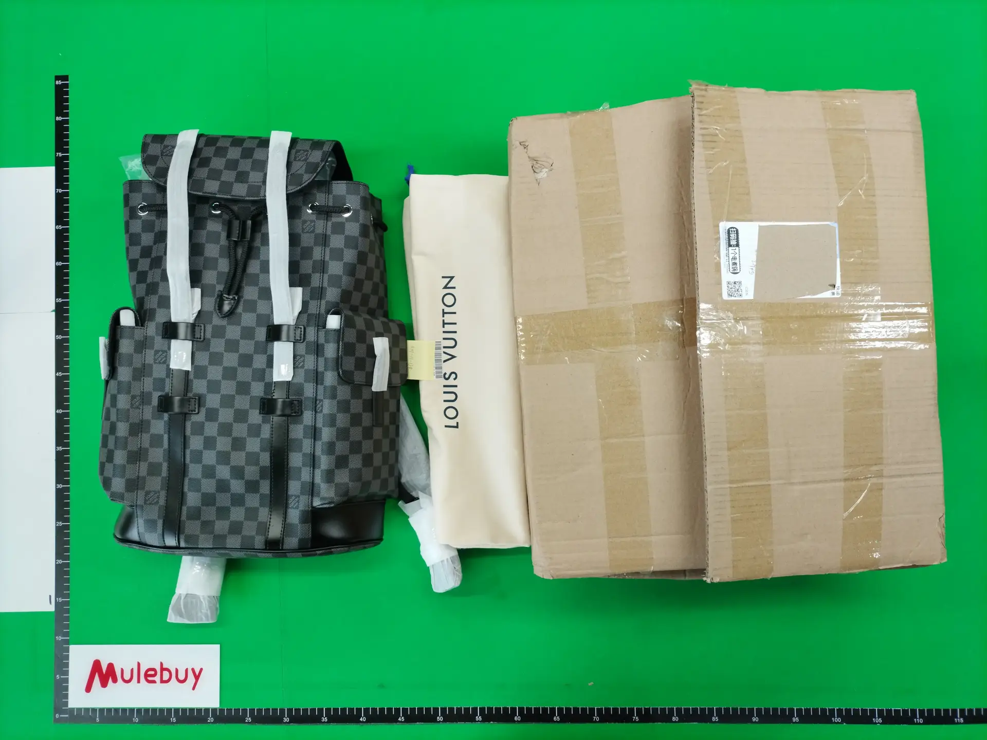 Louis Vuitton Damier Graphite Backpack