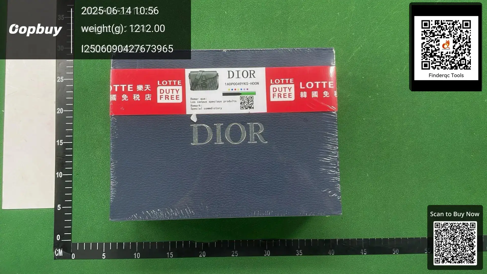 DIOR Saddle Bag 1AD0049YKS-HOON