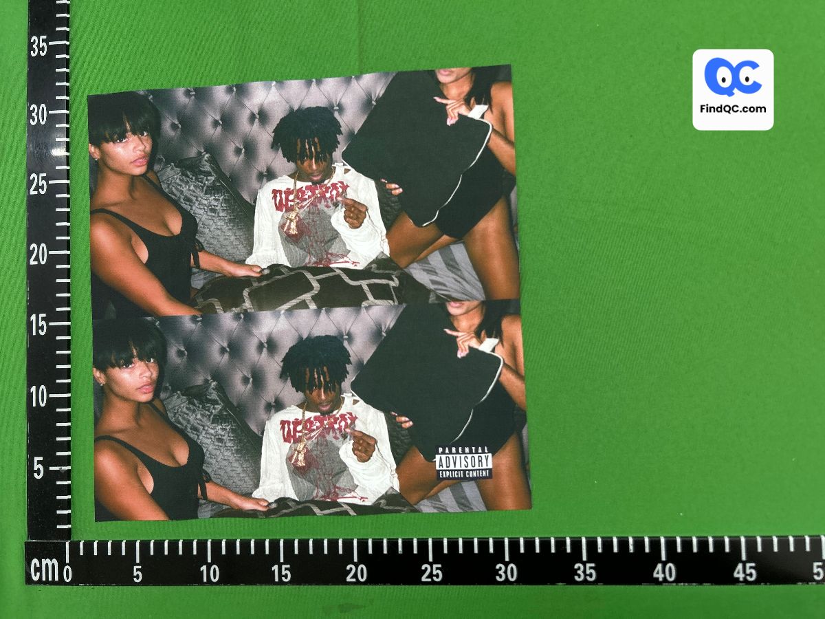 Playboi Carti Poster Album Cover Rap Hip-Hop European and American Celebrity Musician Decorative Hanging Painting QC