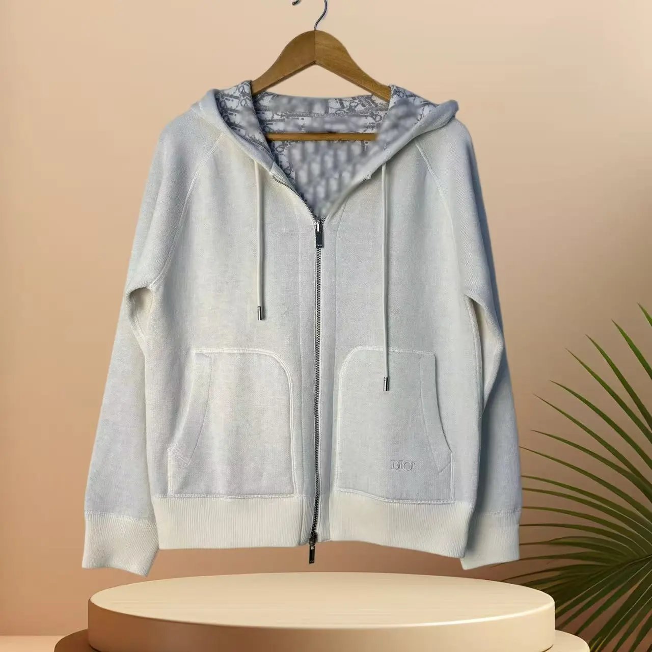 Dior hoodie
