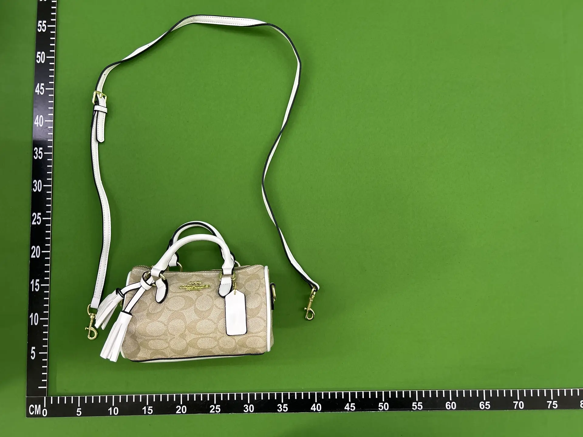 20241211 bag