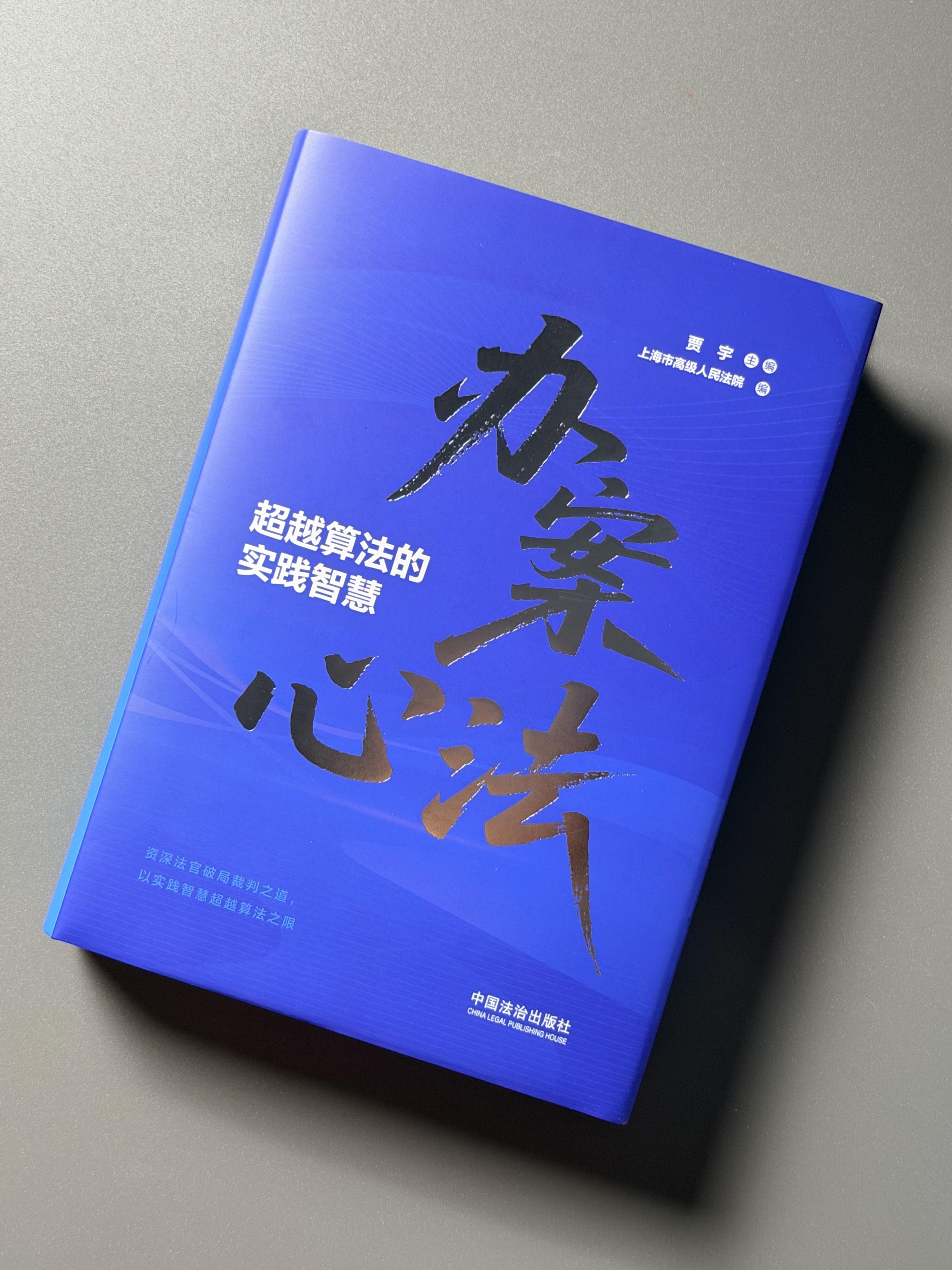 Case-Solving Philosophy: Practical Wisdom Beyond Algorithms, Extracting Wisdom from Frontline Judgments, Condensing Judicial Practical Insights, over 50 Articles of Senior Judges' Experience, 5 Core Chapters, Edited by Jia Yu