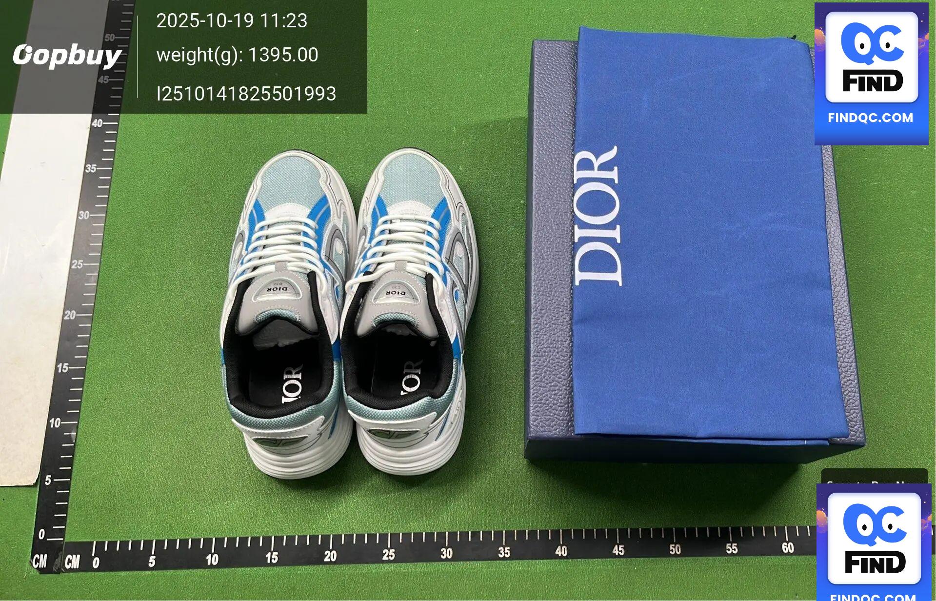 Dior B30 Dad Shoes QC