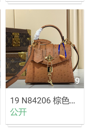 19 N84206 棕色(鸵鸟纹)