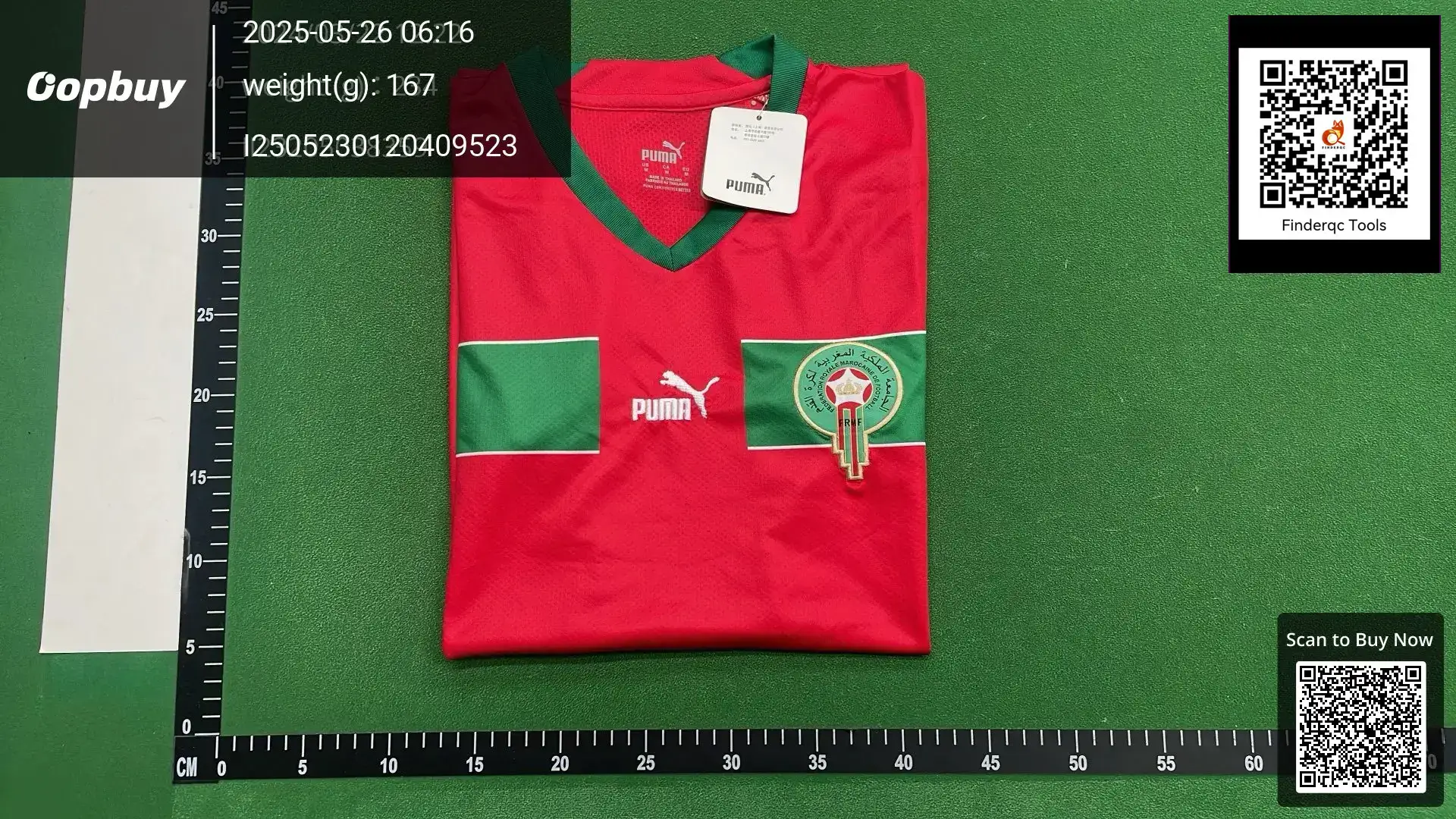 Puma Morocco National Team Training Jersey