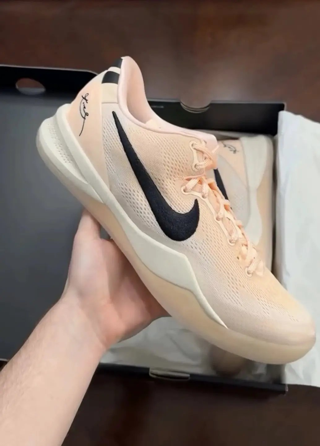 GX版本 Kobe8 eybl academy GX batch