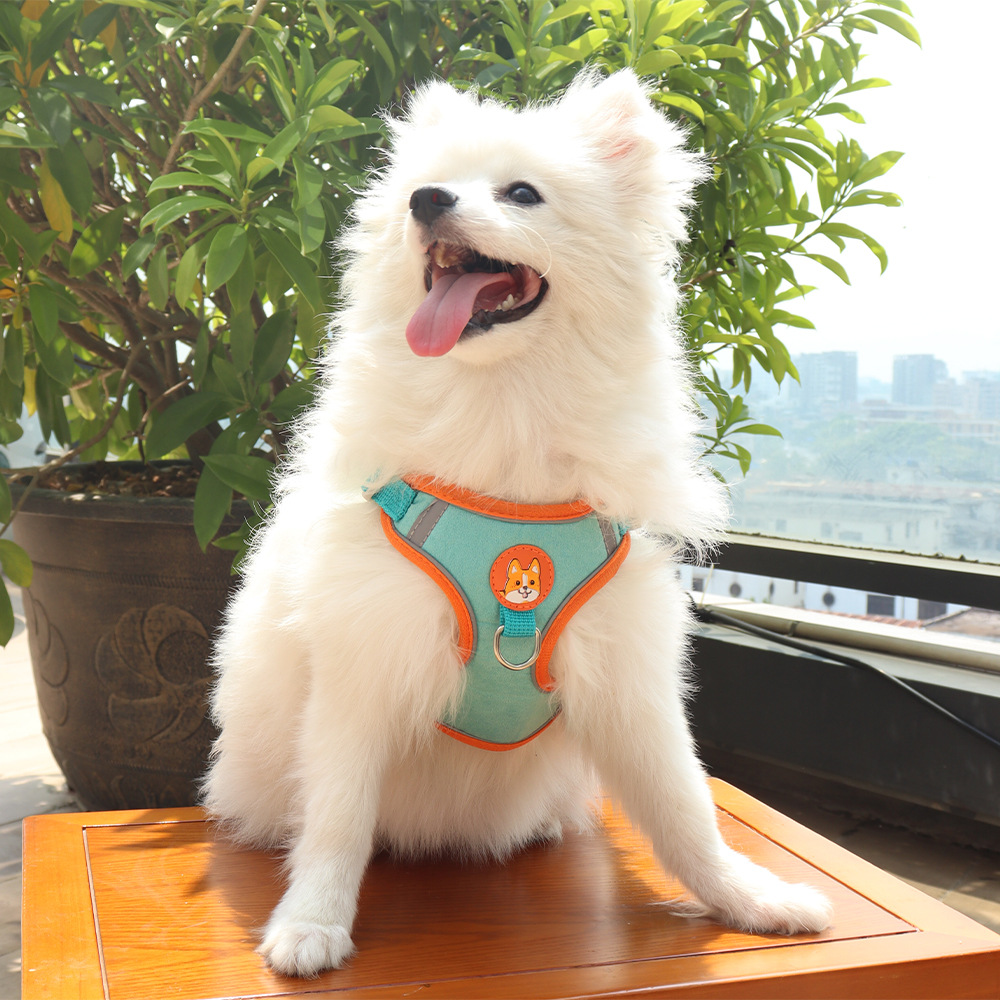 Traction Rope Dog Vest Anti-break Breathable Cartoon Pet Chest Strap Dog Rope Large Dog Explosion-proof Rope