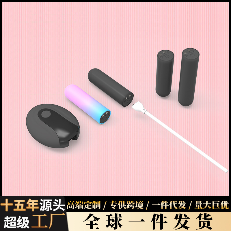 New remote control vibration bullet 10 frequency magnetic charging bullet flirt jumping egg toy fun adult supplies