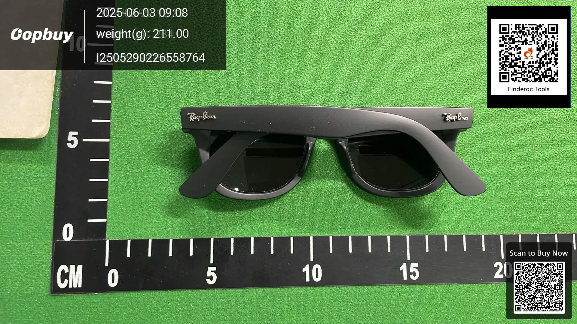 Ray-Ban Wayfarer Matte Black Sunglasses