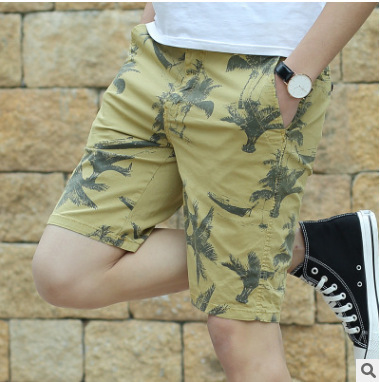 New Men's Pattern Shorts Summer Thin Casual Pants Youth Trend