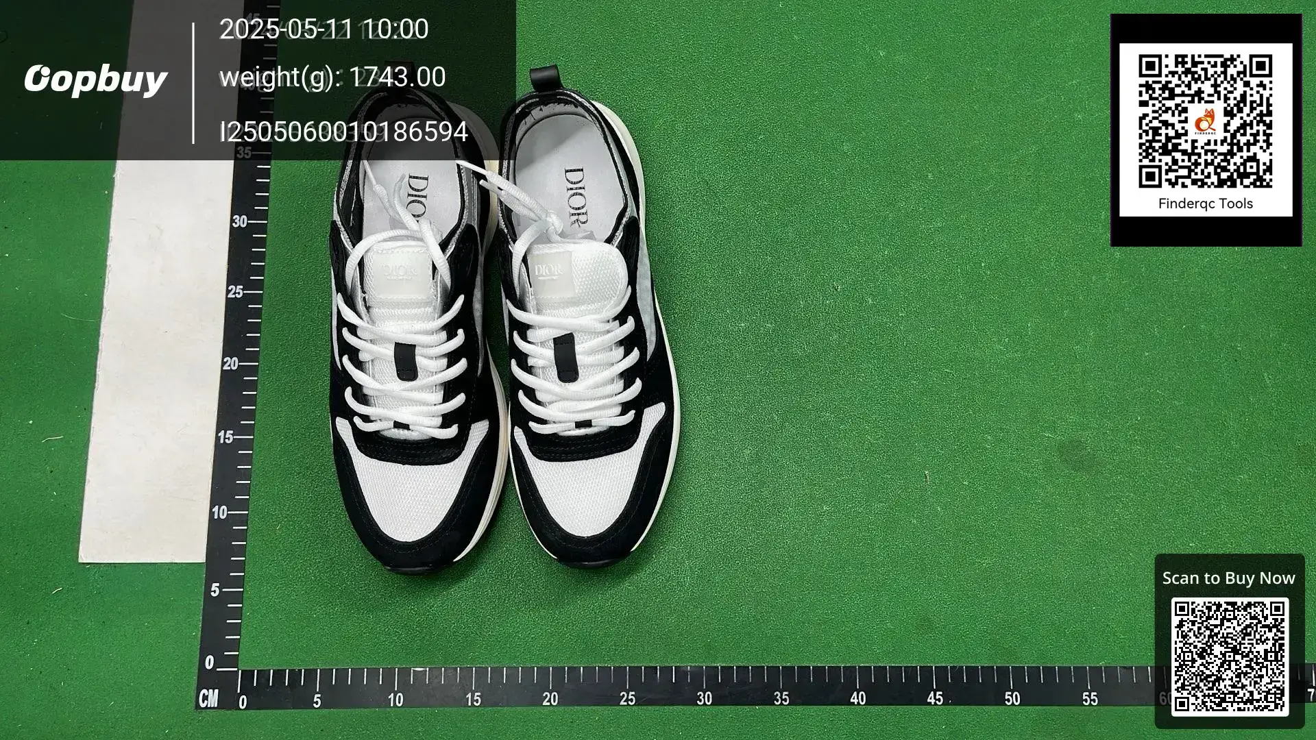Dior B25 B30 Sneakers