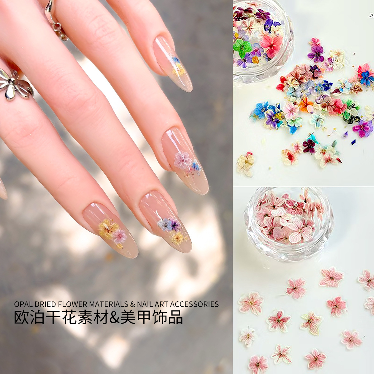 Monet's Garden Natural Dried Flowers for Nails, Summer Fresh Floral Press-On Nail Art Flowers