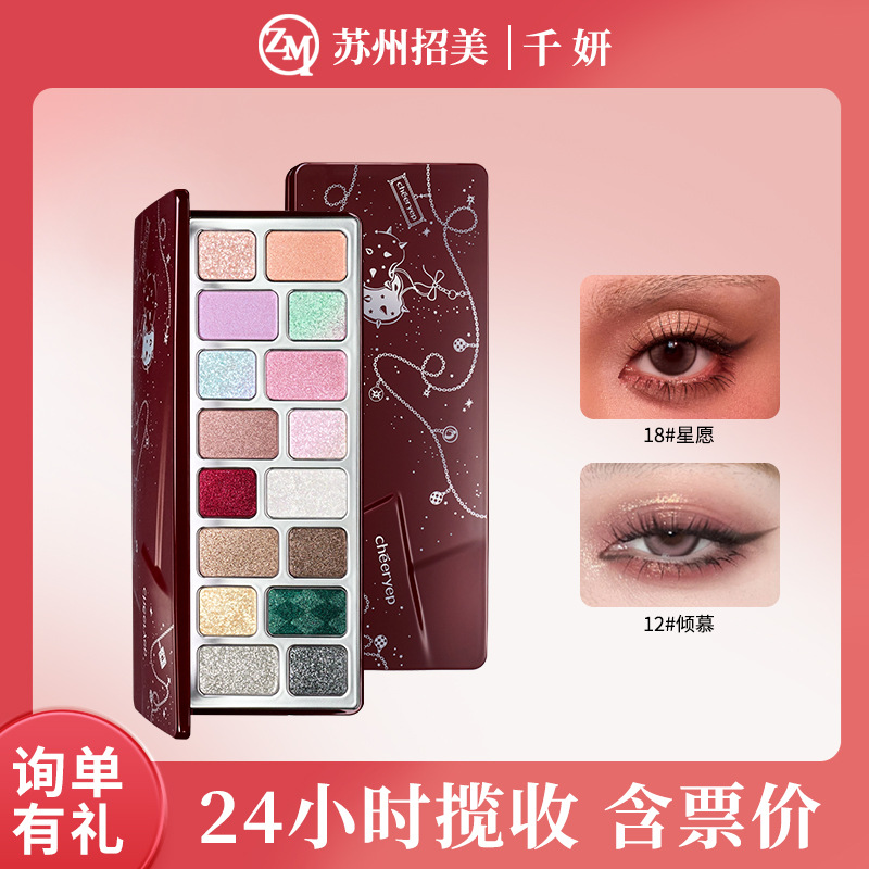 Cross-Border Price Advantage/Qianyan 16-Color Eyeshadow Palette Star Wishes Fireworks Embers Daily Light Makeup Earth-Toned Matte Eyeshadow Palette