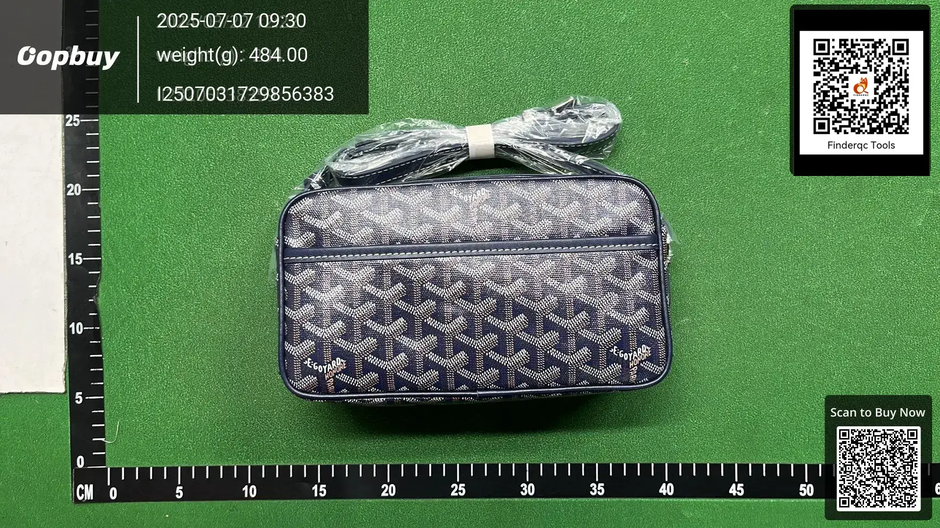 Goyard Anjou PM Bag