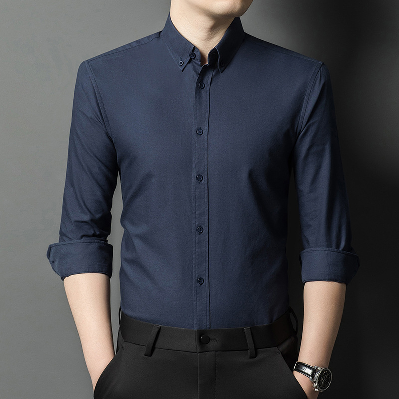 High-End Cotton Oxford Men's Long-Sleeved Shirt Spring New Professional Workwear Versatile Tencel Pure Color Shirt for Men