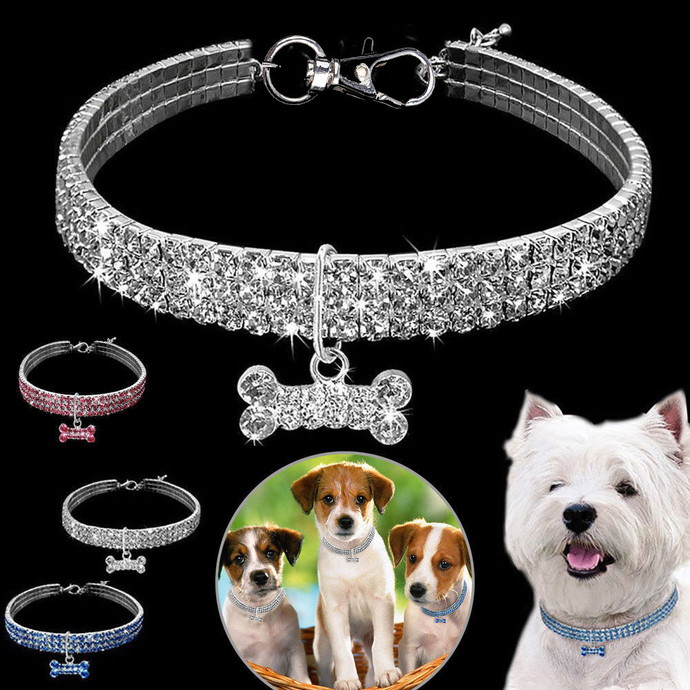 Xiyin Pinduoduo Labeling Rhinestone Elastic Pet Necklace Jewelry Dog and Cat Collar Ins Style Bone Pendant