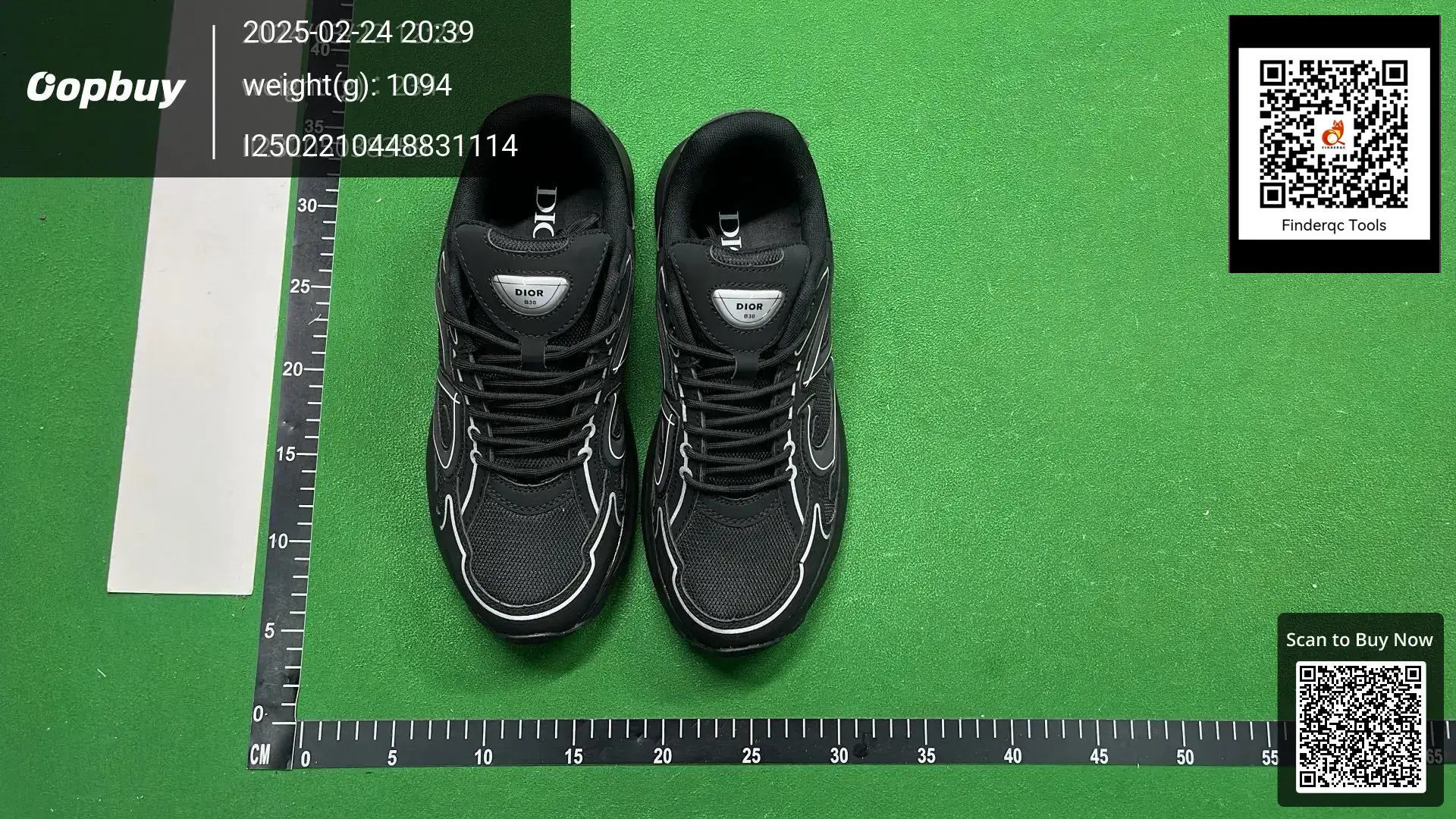 Dior B30 Sneakers Black