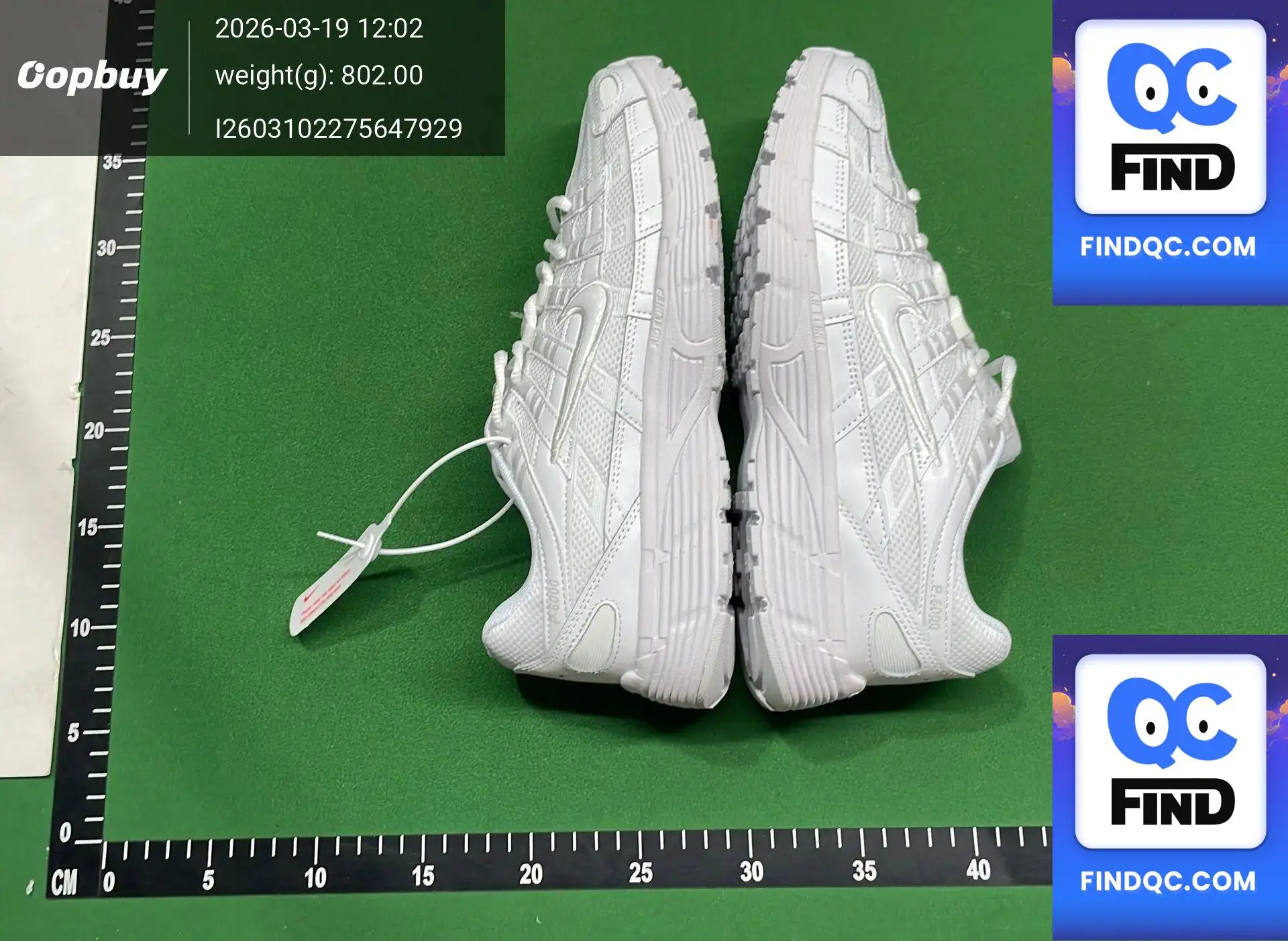 P6000 White