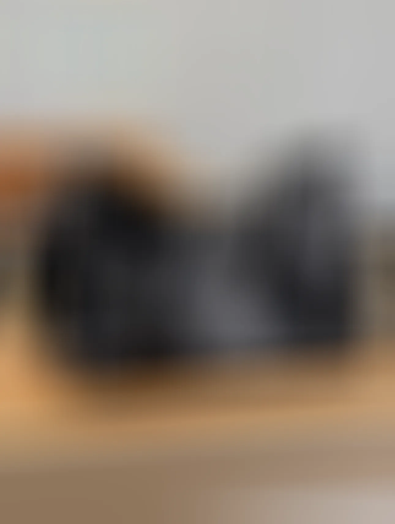 现货【名品之家】【荔枝代购级】新款羊皮托特carryall黑武士BB羊皮黑色手袋中古包腋下包单肩手提斜挎手提包轻奢包包现货