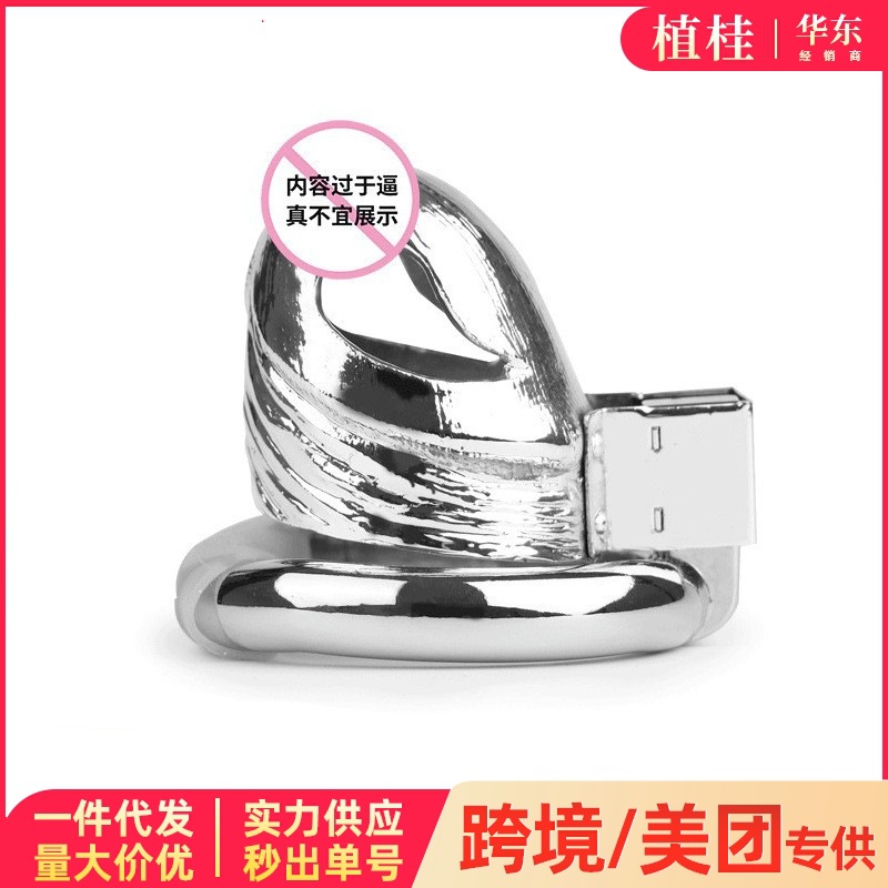 Chastity Lock Utensil Lock Metal Adult Male Chastity Device Penis All-Inclusive Bondage Ring Sex Toys Dropshipping